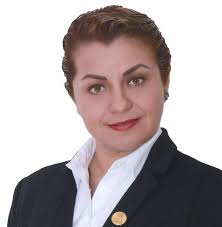 Pesqroo presenta incidente contra magistrada del Teqroo