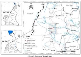 Image result for Vernonia thomsoniana