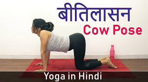 Cow Pose Yoga Asana Bitilasana In Hindi Yoga Poses For Weight Loss Yoga For Beginners Youtube