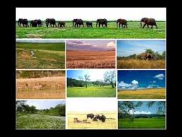 Pin By Sarah Howard On Classical Conversations Biomes Science Teaching Resources Science Nature