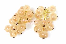 FoodsLink.jp フーズリンク