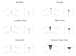 New research also shows the style that is most popular with women. Top Graphic Of Male Pubic Hairstyles Floyd Donaldson Journal