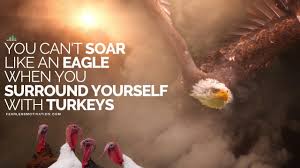 You Can T Soar Like An Eagle When You Surround Yourself With Turkeys Browse our collection of inspirational, wise, and humorous eaglequotes and eagle sayings. you can t soar like an eagle when you