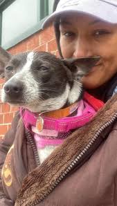 As of this morning Handsome has been reunited with his humans .. a huge  thank you to all that shared and prayed..