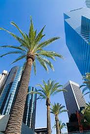 Maybe you would like to learn more about one of these? 900 Ideas De California Los Angeles Ee Uu Los Angeles California Angeles