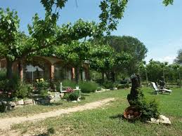 Spanien Katalonien Immobilie In Falset Rosen Finca Zu Verkaufen Kaufpreis Nur 250 000 Euro Spanien Falset Immobilie Rosen F Outdoor Decor Outdoor Patio