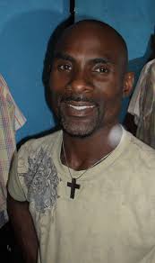 WHO STARS IN THE PLUMBER?