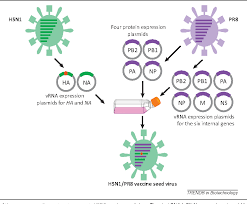 1 avian influenza (bird flu) avian influenza is a highly infectious viral disease affecting the respiratory, digestive and/or nervous system of birds. Avian Influenza Vaccines Against H5n1 Bird Flu Semantic Scholar