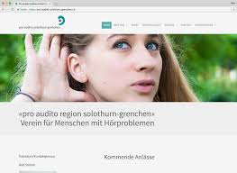 Jahresbericht pro audito region solothurn