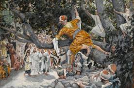 And will conclude with pope francis giving the urbi et orbi. Zacchaeus The Silly Tree And The Meaning Of Life Catholic World Report