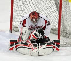 South tops Sabers in boys hockey