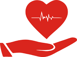 Whether your health insurance will cover an ultrasound depends on the reason for the procedure and the. Critical Illness Insurance Buy Critical Illness Policy Cover Online Hdfc Ergo