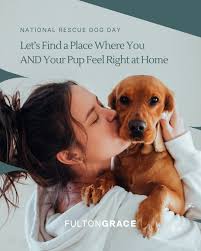 Julie Serafini Presta (@juliepresta.living) • Instagram photos and videos