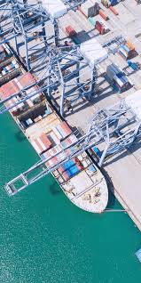 Lateral collateral ligament (disambiguation), one of several ligaments located on the lateral side of a joint: Fcl Lcl Und Sea Air Geodis