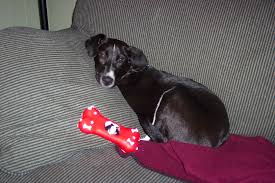 Matty tries Telekinesis.