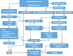 Image result for Hyperaldosteronism