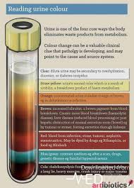 Pin By Piyu On Medical Science Urinal Medical Laboratory Science Pharmacology Nursing