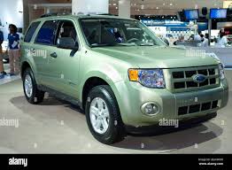 Image result for Kiwi Green 2010 Escape