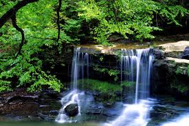 Waterfall live wallpaper hd fully supports horizontal orientation and looks amazing on both mobile phones and tablet devices! Waterfall Wallpapers Wallpapervortex Com