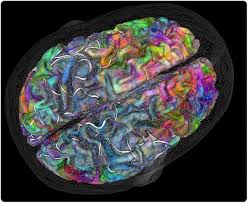 It also represents child abuse awareness. Brain Maps Show Activity Related To Meaning And Not Mode Of Learning