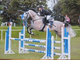 Finde diesen pin und vieles mehr auf rezepte von jana gödecke. Verbandsgemeinde Obere Aller Dressur Springturnier Eilsleben 12 13 05 2012 Und Jahresruckblick