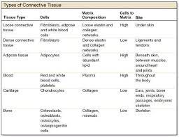 Mcgraw Hill Higher Education Anatomy Physiology Prep Anatomy And Physiology Human Anatomy And Physiology Tissue Biology