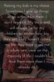 8 Gannon Chase Harrison & Harrison Gregory Sayas ideas