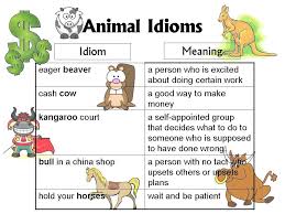 Lesson 3 Animal Idioms Idioms English Idioms Learn English