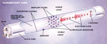 Fundamentals Of Fluorescent Lights Swartz Electric Basic Electrical Wiring Electricity Fluorescent