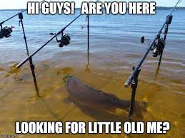 Pin By Pam Gunn Glasson On Fishing Memes Funny Fishing Pictures Funny Fishing Memes Fishing Memes