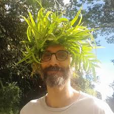 Selenium 4.29 Released!