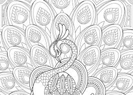 Here are fun free printable peacock coloring pages for children. Free Printable Peacock Coloring Pages For Adults Coloring Pages For Kids