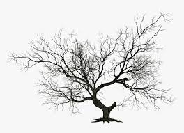 Dying Tree Png Dead Tree Silhouette Png Transparent Png Kindpng