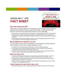 Fact Sheet Template Mt Home Arts