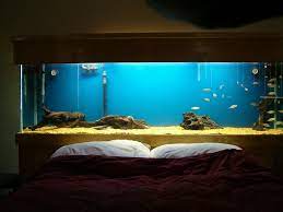 A Little Easier To Set Up And You Re Less Likely To Whack Your Head But You Lose The Awesome View When You Lie D Classy Bedroom Unique Bed Design Unique Beds