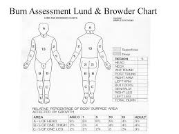 burns fluid electrolytes ppt video online download