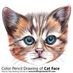 It may be downloaded and printed for personal and educational purposes only. Cats Drawing Tutorials Step By Step Drawingtutorials101 Com
