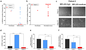Geschäftsführer g+j parenting media gmbh / digital business director g+j family gruner + jahr gmbh & co. Human Ipsc Disease Modelling Reveals Functional And Structural Defects In Retinal Pigment Epithelial Cells Harbouring The M 3243a G Mitochondrial Dna Mutation Scientific Reports