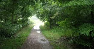 Bois de vincennes from mapcarta, the free map. The Parks Of Boulogne And Vincennes Which To Visit Discover Walks Blog