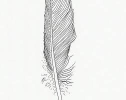 Birds Of A Feather 2 Original Ink Line Drawing 2 Seabird Feathers In 2020 Original Ink Drawing Original Ink Drawings