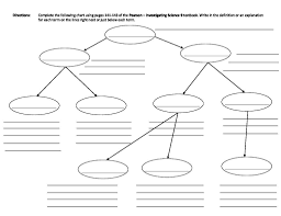 The Classification Of Matter Table Blank Worksheet