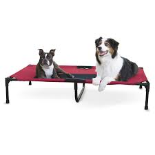 Maybe you would like to learn more about one of these? Elevated Dog Bed X Large Walmart Com Walmart Com