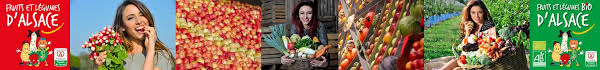 Le Jardin De Marthe Maraicher Fruits Legumes Bio A Strasbourg Alsace