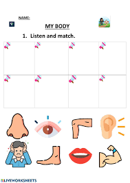 Some of the worksheets displayed are body parts, name parts of the body, lesson parts of the body, parts of human body matching match the, clothes and body parts match the, students work, human body systems, my body work. My Body 2 Preschool Worksheet