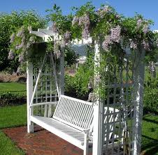 Pin By Sheryl Venter On For The Home Wisteria Trellis Pergola Patio Backyard