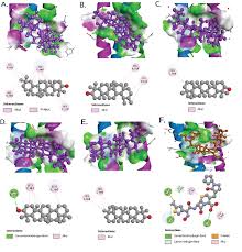 Image result for Swertia tetrandra