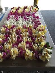 Free shipping on orders over $25 shipped by amazon. Graduation Leis Where To Buy How To Diy The Candy Lei