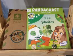 E Vous Raconte Notre Apres Midi Avec Pandacraft Https Petitspimousses Home Blog 2019 05 08 Pandacraft Le Kit Du Mois De Mai Les Paper Shopping Bag
