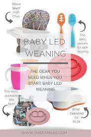 Baby Led Weaning Gear This Familee
