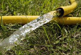 How to Choose the Right Garden Hose to Make Gardening Simple